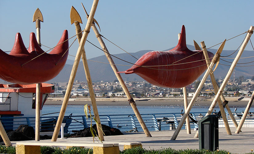 Puerto Pesquero Artesanal de Coquimbo